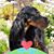 Nancy Lovelady's profile image