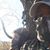 Matthew J Brown's profile image