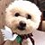 Mary Mayer's profile image