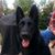 Donna Richards's profile image