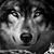 Kelly Hartsock's profile image