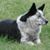 Michelle Vette Seeker's profile image