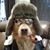 Aaron Cleavinger's profile image