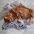 Joan Ward's profile image