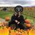 Mary Rheaume's profile image