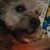 Tracy Ceretto's profile image