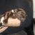 Patricia Dean Portieri's profile image