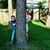 Kristin Morris's profile image