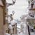 Janice Bononi D'Aniello's profile image