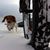 Doug Schutte's profile image