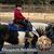 Ana Deysi Martinez Moreno's profile image