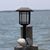 Lisa Eyler Reed's profile image