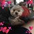 Sharron Higgins's profile image