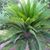 Rafid Altakriti's profile image