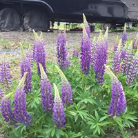 from SquareTrade has responded Posted Feb-23-2018's profile image