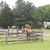 Debra Brown's profile image