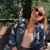 Gabby Durkin's profile image