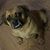 Stephanie Friedrichsen Robinson's profile image