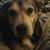 Brandy Sanders's profile image