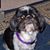 Susan LeDonne's profile image