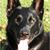 Cindy Stewart's profile image