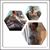 Wanda Hightower's profile image