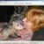 Yvonne Stickler's profile image