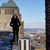 Olga Pogoda's profile image