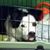 DeAnna Haase's profile image