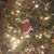 Frances Sanders Shirley's profile image