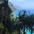 Devora Johnston Garrison's profile image