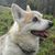 Sylvia Hawkins's profile image
