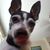 Robert Dawson's profile image