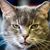 Anna Onak's profile image