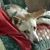 Cathy Novey Dowd's profile image