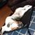 Donna Brenning Riley's profile image