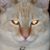 Cindy Hayman-Wolfe's profile image