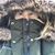 Donna Muscato-Galley's profile image