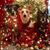 Ginny Krudewig's profile image