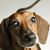 Lorri Henson's profile image