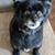 Dawn Hamm's profile image
