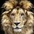 Tony Pongia's profile image
