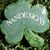 Nancy Ryan's profile image
