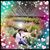 Eia Roque Masesar's profile image