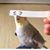 Heather Dalby's profile image