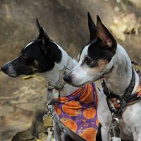 Jacque Young's profile image