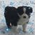 Kaylene Vandemark's profile image