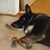Nancy Pilsch's profile image