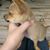 Angel Medrano's profile image