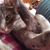 Nancy M. Knapp's profile image